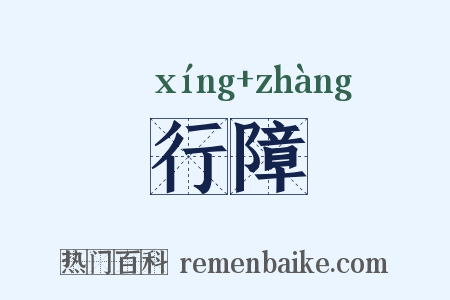 行障是什么意思的图片